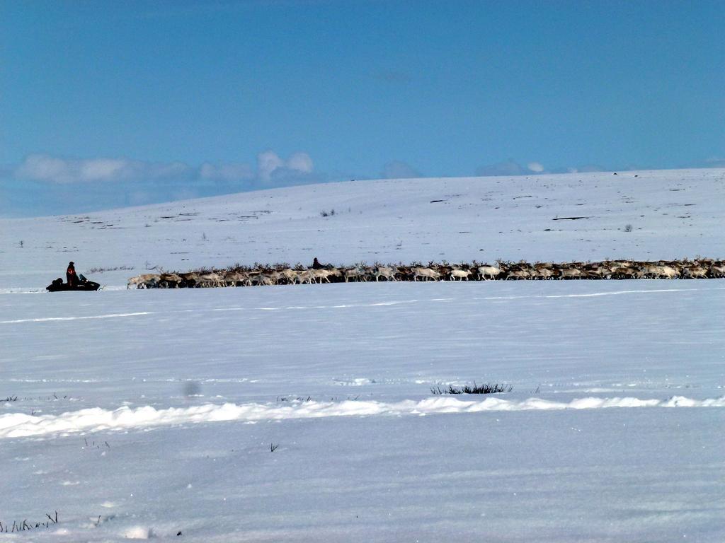 Jergul Astu Villa Karasjok Dış mekan fotoğraf